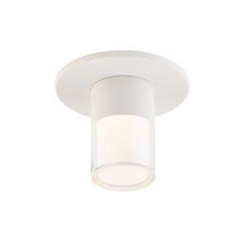 WAC Online FM-240203-CS-WT - Twist-N-Lite 240203 5CCT Flush Mount