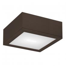 WAC Online FM-W2510-BZ - RUBIX Outdoor Flush Mount Light