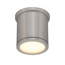 WAC Online FM-W2605-AL - TUBE Outdoor Flush Mount Light