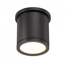 WAC Online FM-W2605-BK - TUBE Outdoor Flush Mount Light