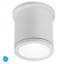 WAC Online FM-W2605-WT - TUBE Outdoor Flush Mount Light