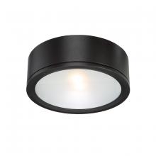 WAC Online FM-W2612-BK - TUBE Outdoor Flush Mount Light