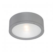 WAC Online FM-W2612-GH - TUBE Outdoor Flush Mount Light