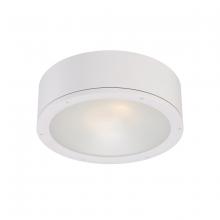 WAC Online FM-W2612-WT - TUBE Outdoor Flush Mount Light