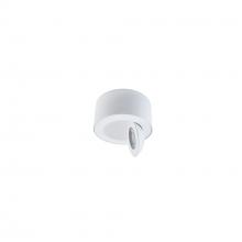 WAC Online FM-W45205-30-WT - Peek Outdoor Flush Mount Light