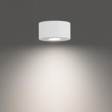 WAC Online FM-W45205-40-WT - Peek Outdoor Flush Mount Light