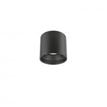 WAC Online FM-W47205-30-BK - Downtown Outdoor Flush Mount Light