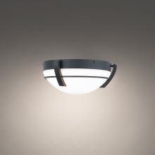 WAC Online FM-W93216-BK - Bradbury Outdoor Flush Mount Light