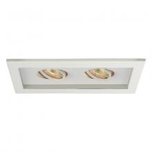 WAC Online MT-216-WT/WT - Low Voltage Multiple Two Light Trim