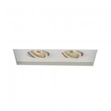 WAC Online MT-216TL-WT - Low Voltage Multiple Invisible Two Light Trim