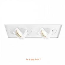 WAC Online MT-5LD225TL-F27-WT - Tesla LED Multiple Two Light Invisible Trim with Light Engine