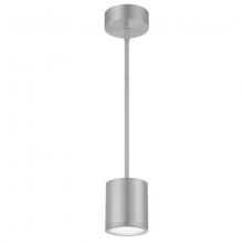 WAC Online PD-W2605-AL - TUBE Outdoor Pendant Light