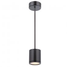 WAC Online PD-W2605-BK - TUBE Outdoor Pendant Light