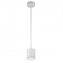 WAC Online PD-W2605-WT - TUBE Outdoor Pendant Light