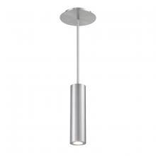 WAC Online PD-W36610-AL - CALIBER Outdoor Pendant Light