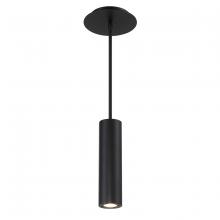 WAC Online PD-W36610-BK - CALIBER Outdoor Pendant Light