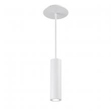 WAC Online PD-W36610-WT - CALIBER Outdoor Pendant Light