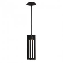 WAC Online PD-W48616-BK - CHAMBER Outdoor Pendant Light