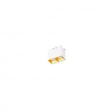 WAC Online R1GDL02-N930-GL - Multi Stealth Downlight Trimless 2 Cell