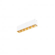 WAC Online R1GDL06-S935-GL - Multi Stealth Downlight Trimless 6 Cell