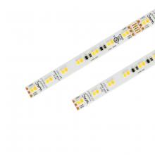 WAC Online T24-CS10-05-2750WT - InvisiLED? CCT - Color Temperature Adjustable LED Tape