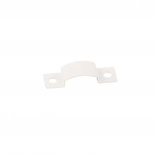 WAC Online T24-OD-C1-WT - Surface Mount Clips InvisiLED? Outdoor Pro+ / RGBWW / 12V Landscape