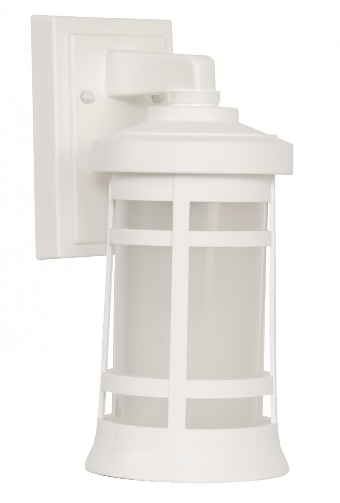 Resilience 1 Light Small Outdoor Wall Lantern in Textured White