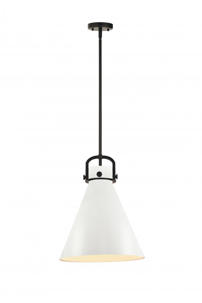 Newton Cone - 1 Light - 14 inch - Brushed Brass - Pendant