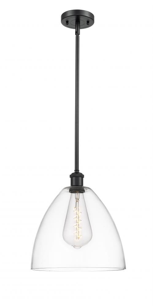 Bristol - 1 Light - 12 inch - Matte Black - Mini Pendant