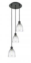  113B-3P-BK-G442 - Brookfield - 3 Light - 12 inch - Matte Black - Cord Hung - Multi Pendant