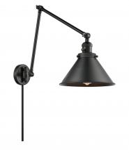  238-BK-M10-BK - Briarcliff - 1 Light - 10 inch - Matte Black - Swing Arm