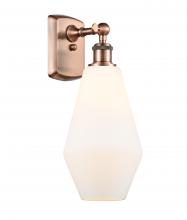 Innovations Lighting 516-1W-AC-G651-7 - Cindyrella - 1 Light - 7 inch - Antique Copper - Sconce