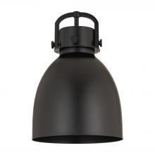 Innovations Lighting M412-10BK - Newton Sphere 10 inch Shade