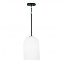 Capital 348811MB - 1-Light Pendant