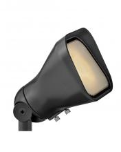 ACCENT FLOOD LIGHT